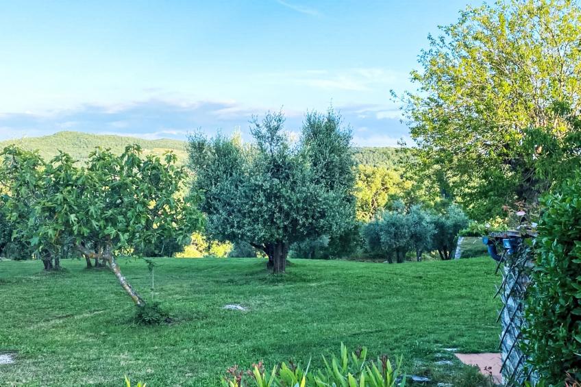 Fiore di Mandorlo - foto 3