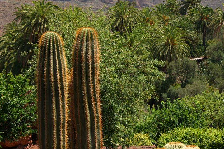 Komfortables Ferienhaus La Fuente de la Flora - foto 16