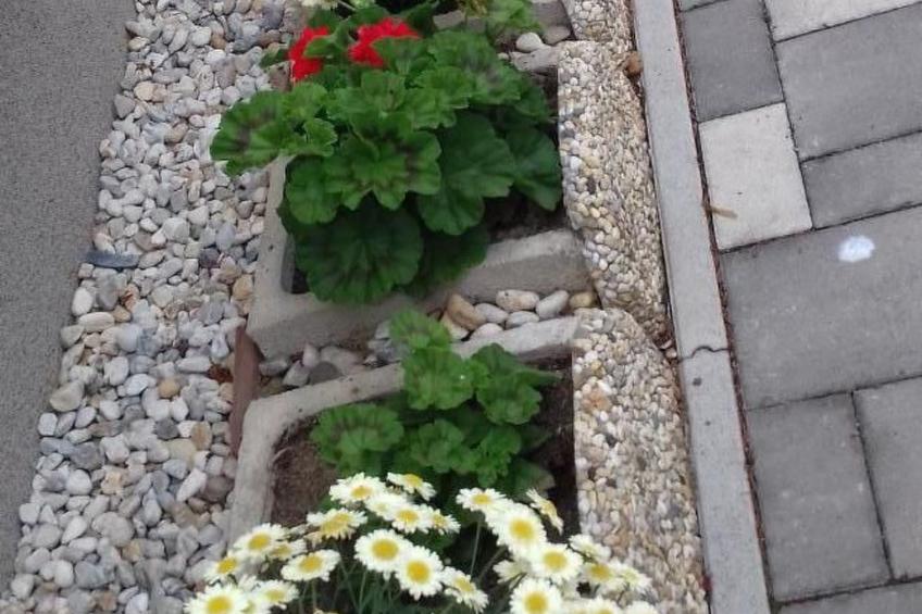 in Bük im Parterre mit Garten - foto 12