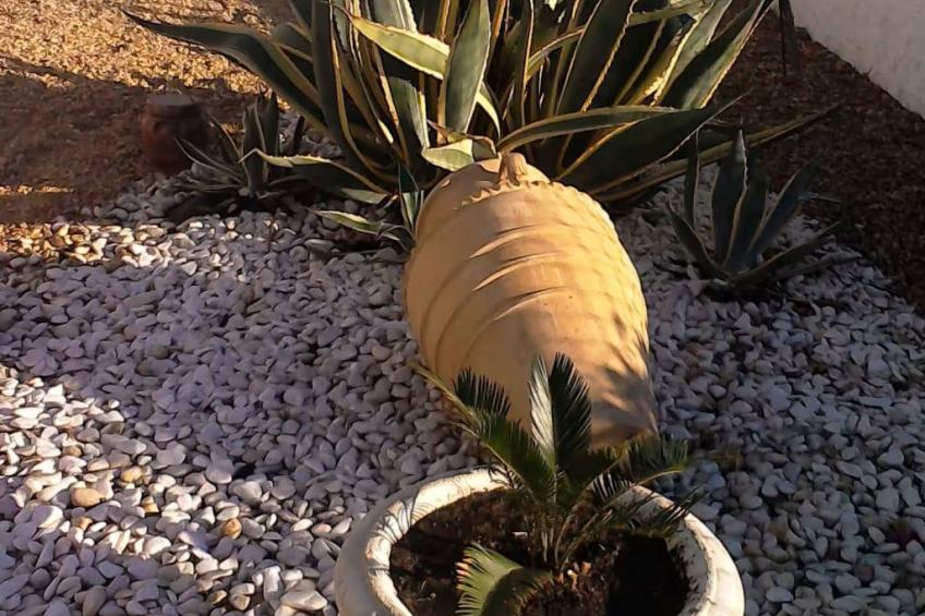 "brigitte" mit Pool - foto 13