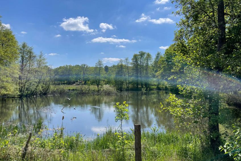 Mühlenkate - foto 22