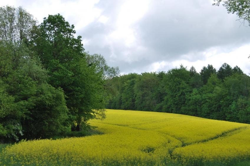 Fewo Stricker 33 - foto 40