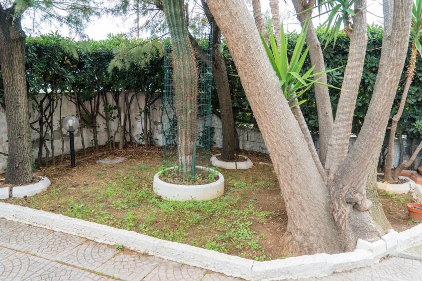 mit Meerblick - foto 35