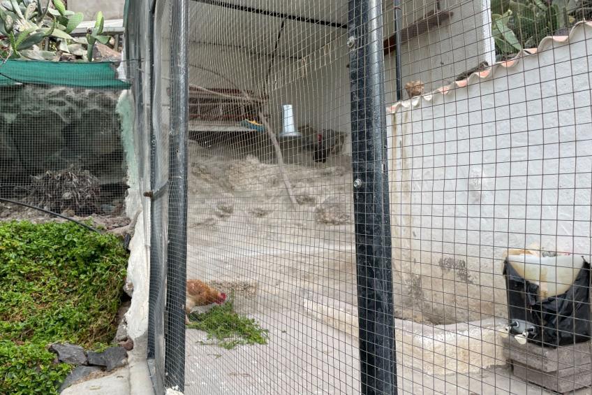 Casa Amarilla - foto 39