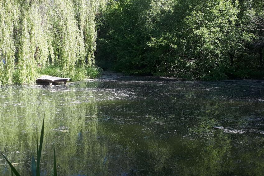 in Krimderode mit Grill, Whirlpool und Terrasse - foto 15