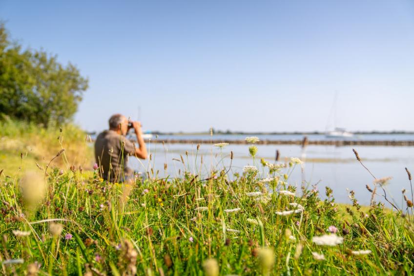 Eco Resort Grevelingenstrand - one dog - foto 24