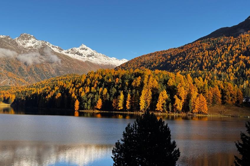 Chalet Haus am See - foto 13