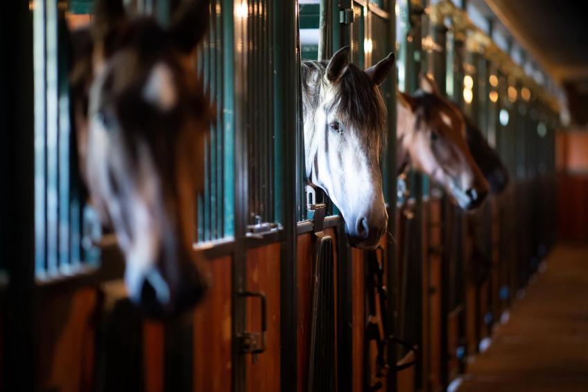 Aekinger Lodge - foto 10