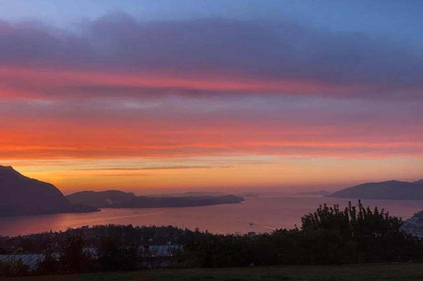 Simonetta Vignone - foto 30