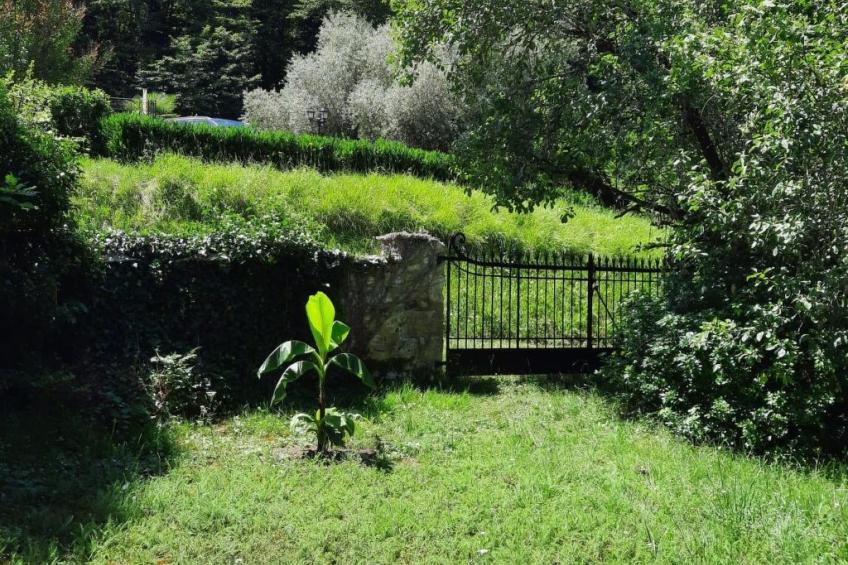 Landhaus in der Dordogne - foto 32