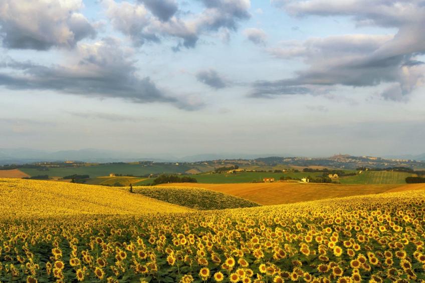 'Casa il Girasole' - foto 19