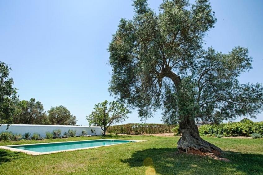 Ferienvilla mit Garten, Grill und Terrasse - foto 6