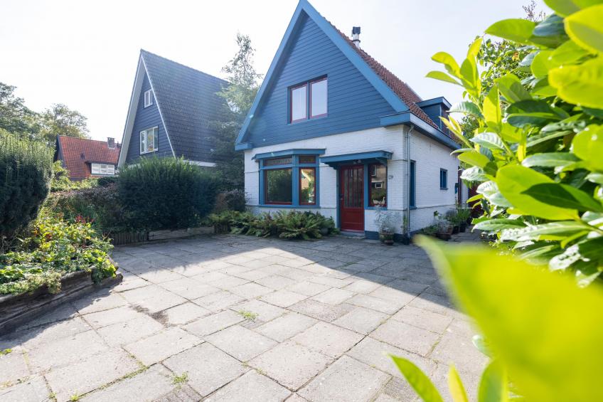 Bergens Roodborstje - foto 2