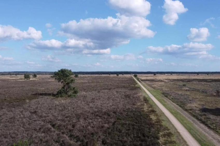 Heivlinder Comfort 4+2p - foto 25