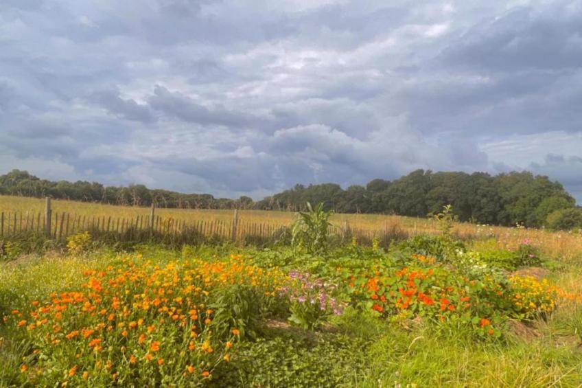 Gîte Saint-Gilles-les-Bois - foto 25