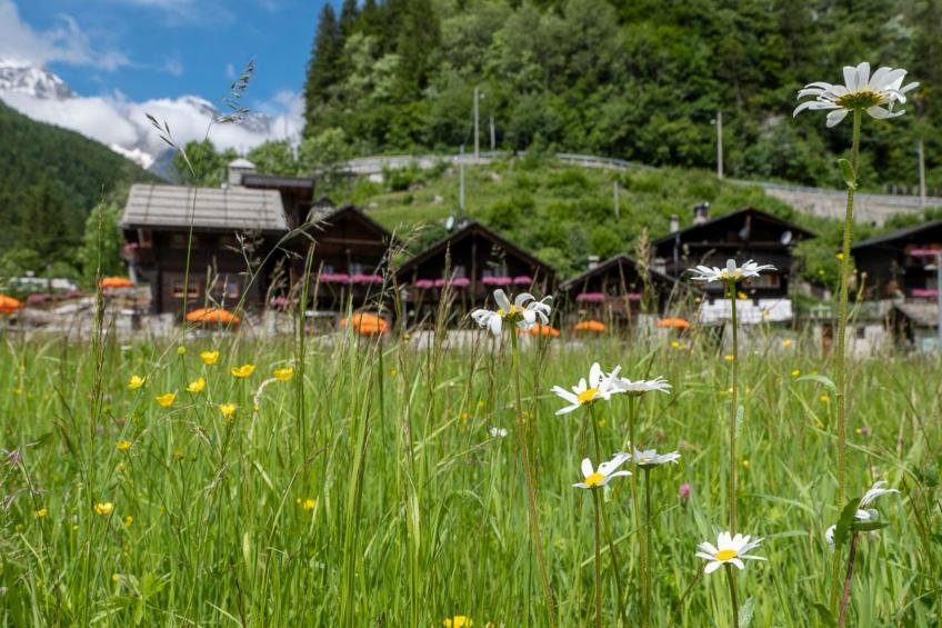 Chalet "Borgo Walser Testa 4" - foto 21