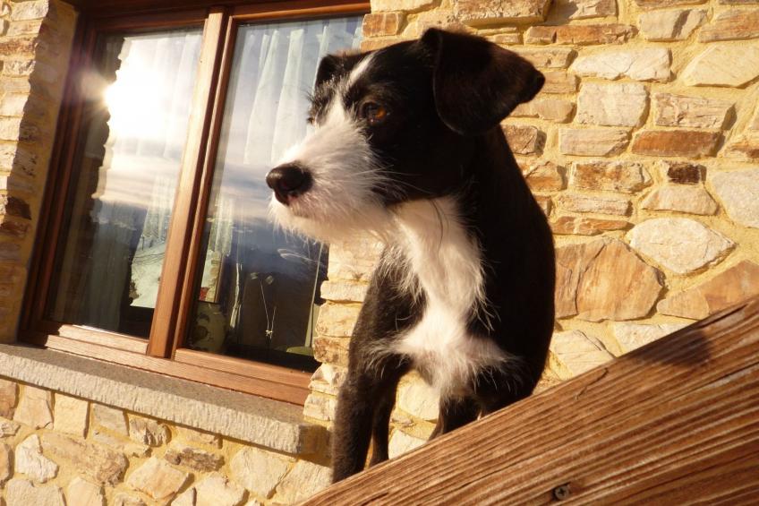 Casa Bella Vista - foto 26