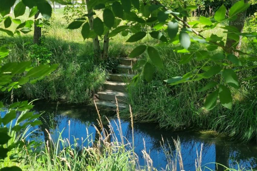 Familienfreundliche Wohnung im schönen Reisenberg - foto 24