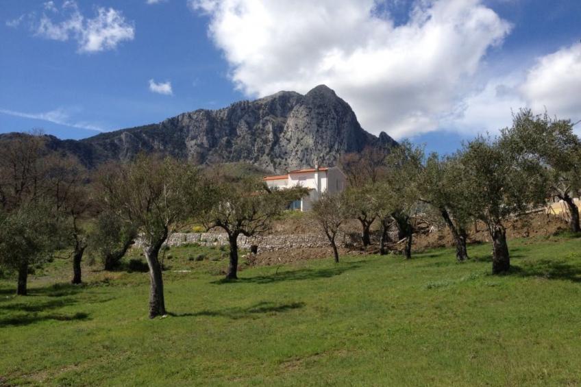 Gästehaus an die Villa angeschlossen - foto 5