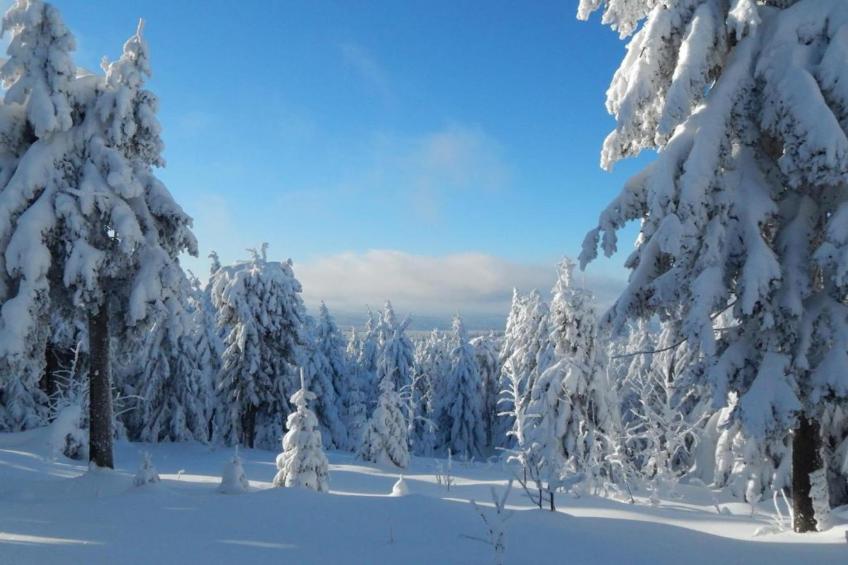 Ferienwohnung Irene - foto 15