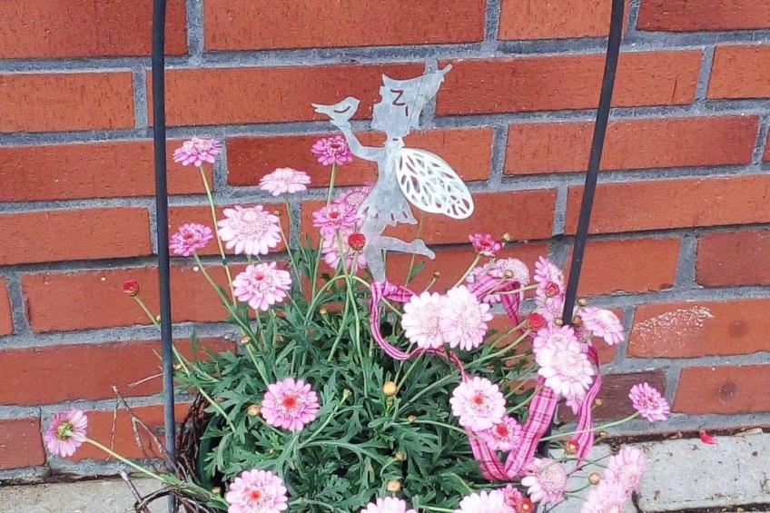 Fewo Schlingshöhe - foto 24