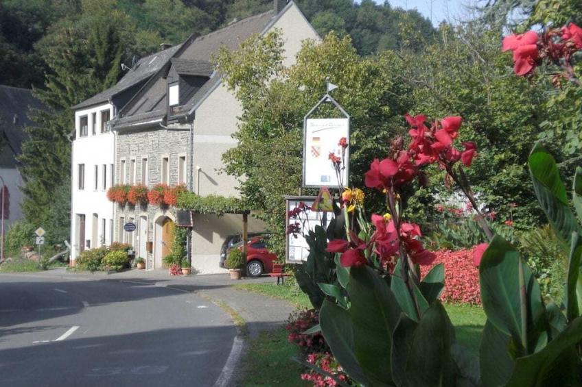 17661 - foto 2