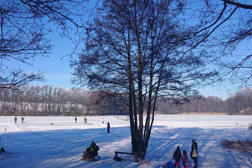 Schaalsee - Auszeit - foto 44