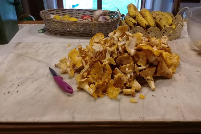 Fachwerkhaus "gitealienor perigord" - foto 22