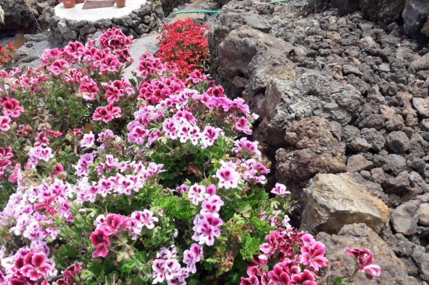 "Casa El Vallito" schönes Steinhaus - foto 38