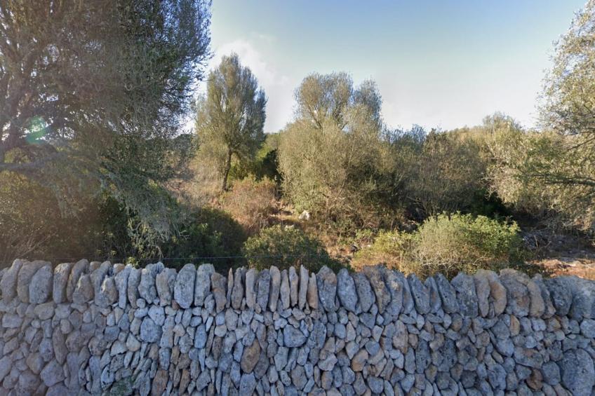 Can Xesquet - foto 3