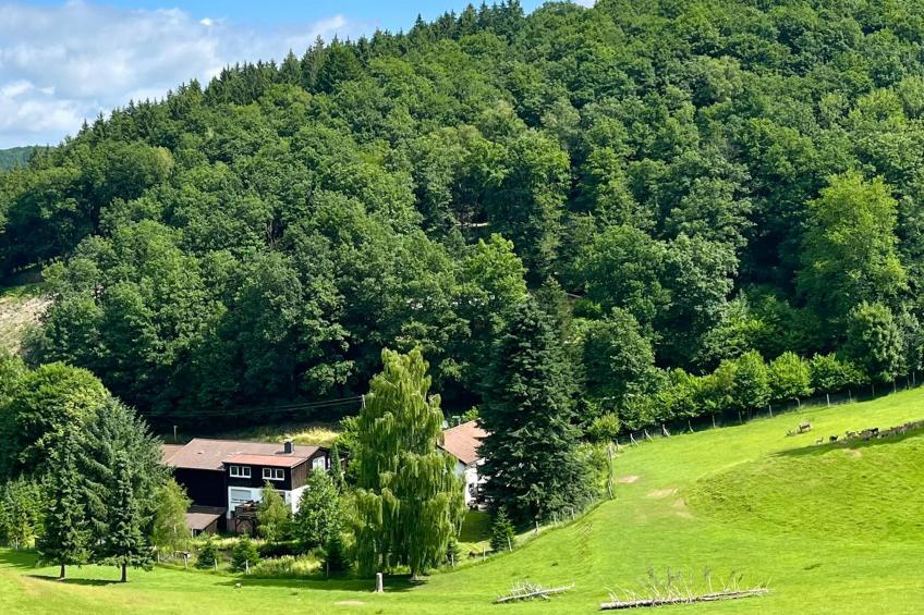 Am Damwildgehege I - foto 37