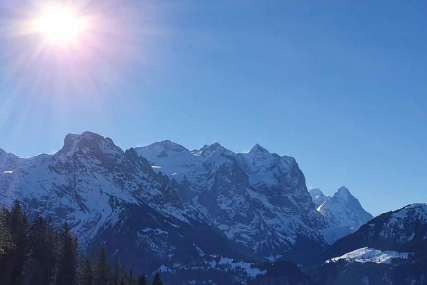 Gemütliche FeWo - foto 17