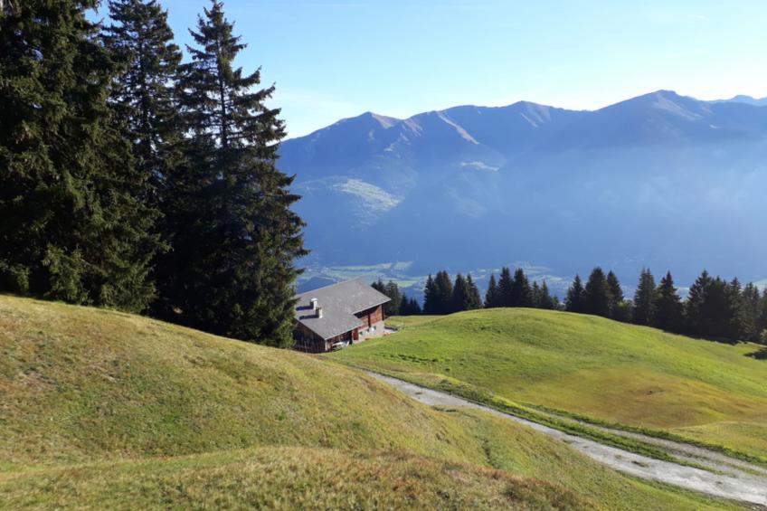 Maiensäss Rüs, (Präz), - foto 9