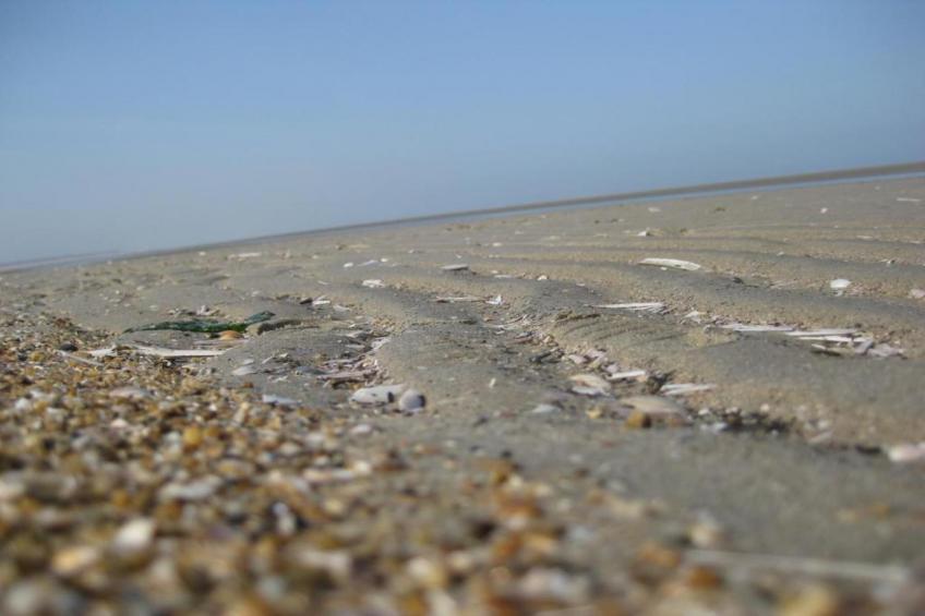 Strandpark Duynhille 2 - foto 33