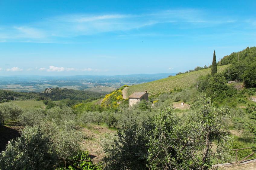 Podere Cellole (CTC154) - foto 22
