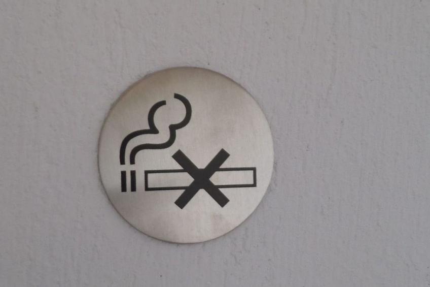 Finikas Garden Nikit - foto 13