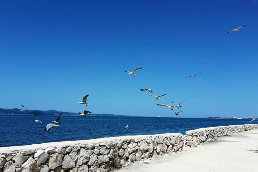 Apartment Palma - foto 33