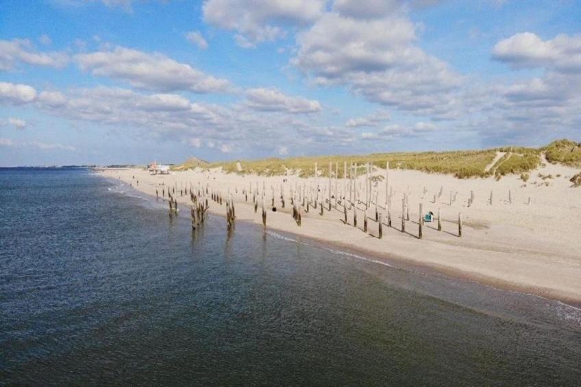 Campanula 171 - foto 27