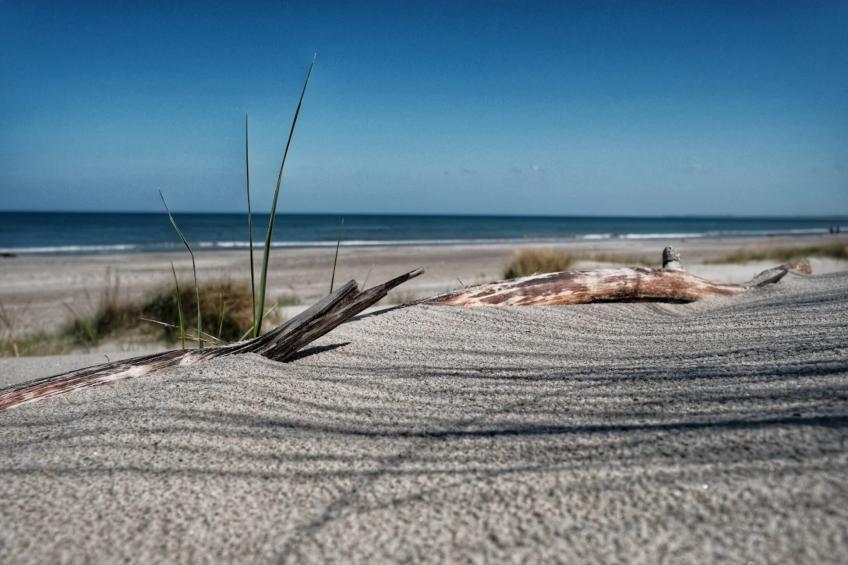 Nr9 - Meisennest 5 Personen - foto 54