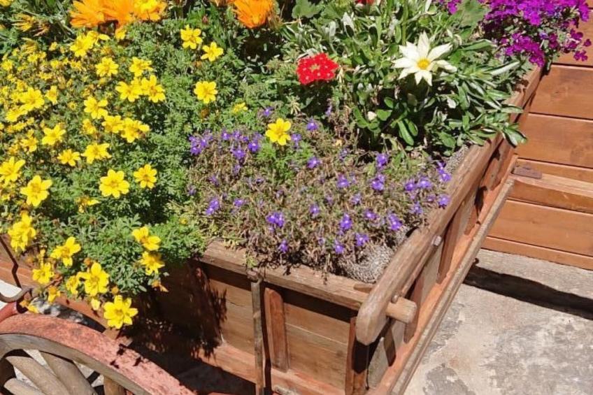 Alpen-Paradies - foto 7