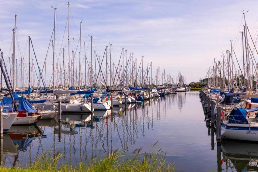 Aquadelta 36 - foto 15