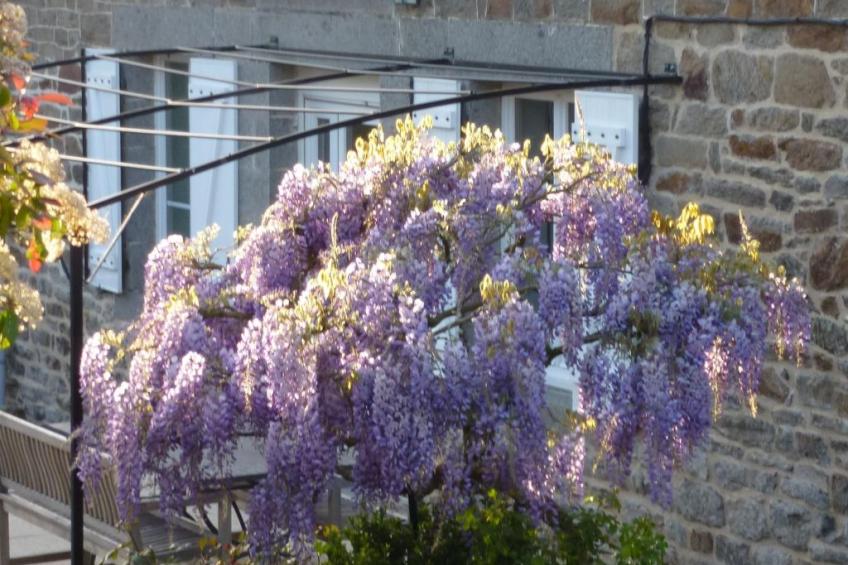 "Le Roseraie" - foto 18