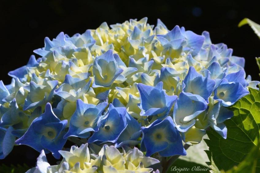 mit eigenem Garten und Grill - foto 29