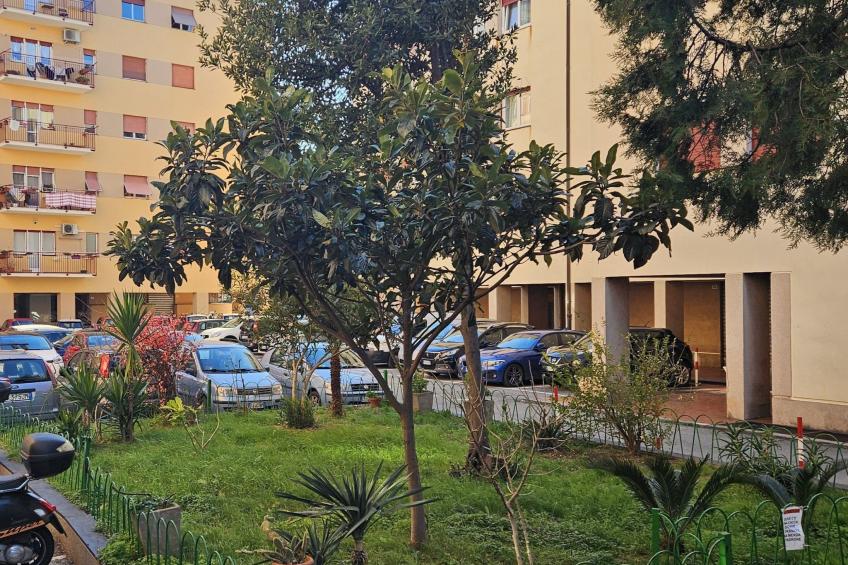 Oase des Friedens von Holiday World - foto 20