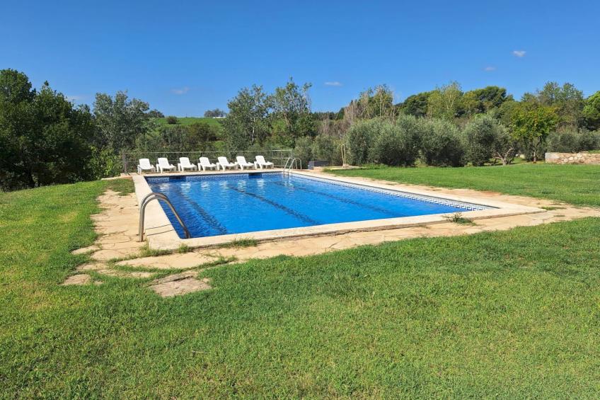 Finca el Olivar - foto 22