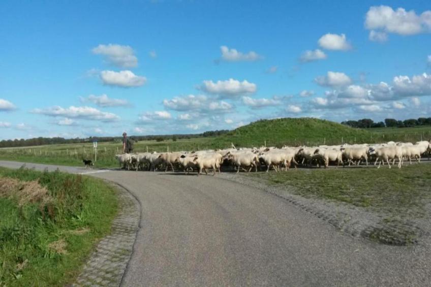 Harbour Village 2 - foto 24