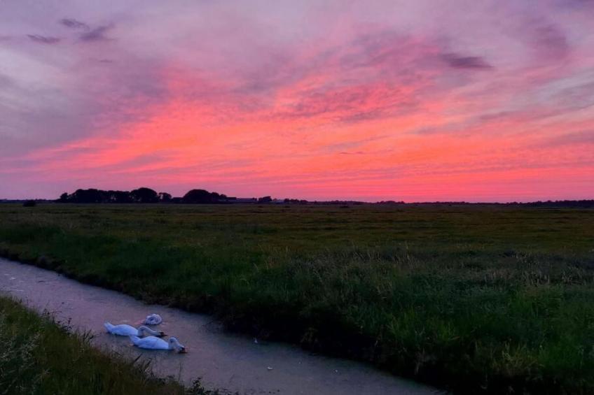 Chalet Hilda - foto 38