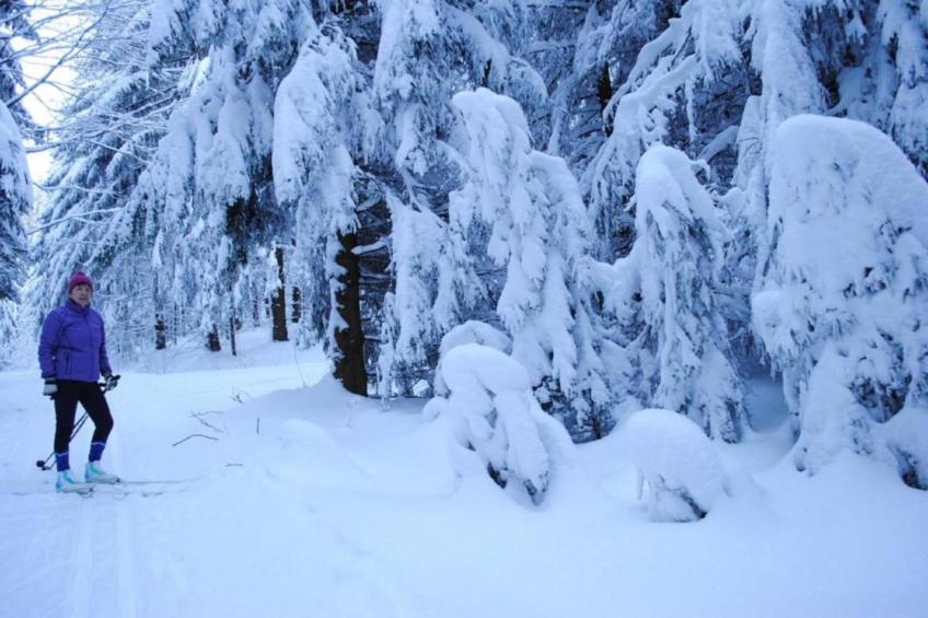 Bayerischer Wald - foto 19