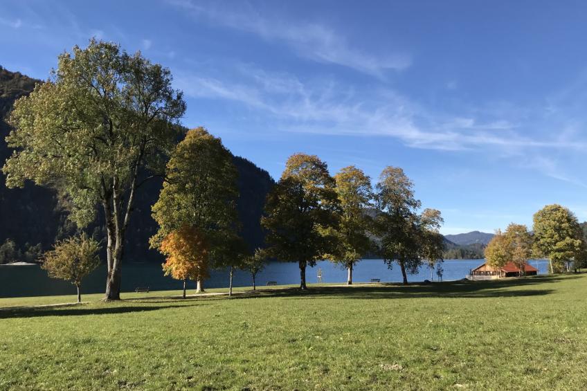 Am Bärenkopf - foto 21