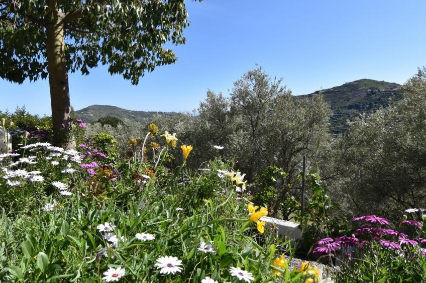 Finca El Corinto - Ein verwunschener Ort - foto 3